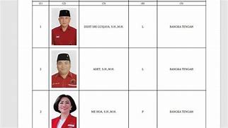 Caleg Dpr Ri Dapil Jakarta 3 Pdip 2024